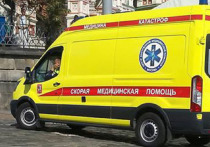 Представители экстренных служб Москвы сообщили ТАСС, что упавшая на пути на станции «Комсомольская» пассажирка осталась жива и доставлена в медучреждение