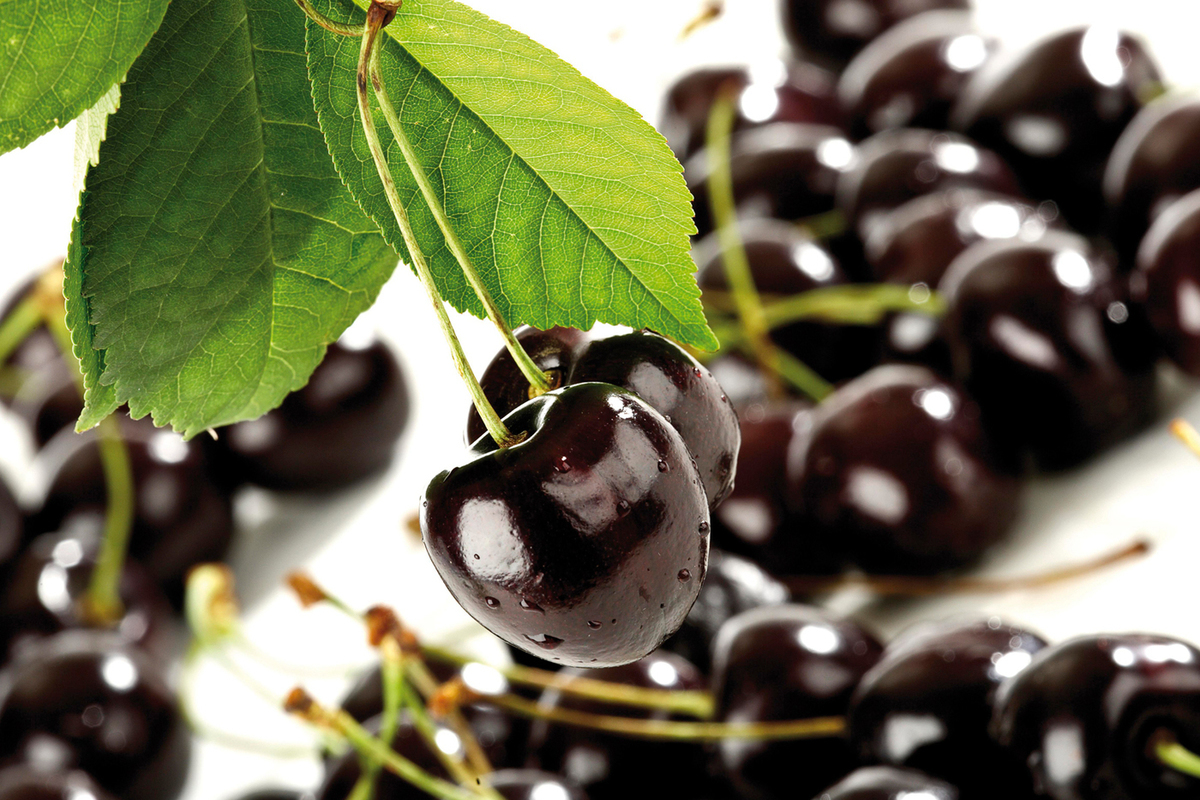 In Ukraine, cherries rose in price to 3,000 rubles per kilo