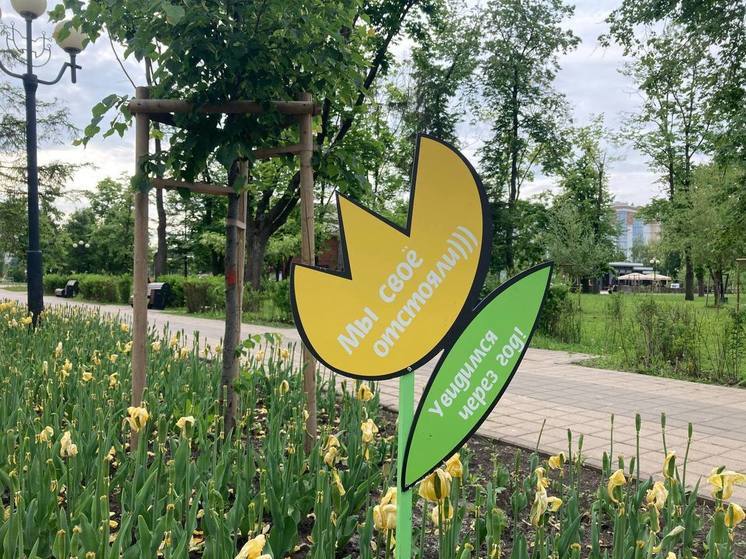 Белгородские озеленители готовятся к смене цветочного оформления облцентра