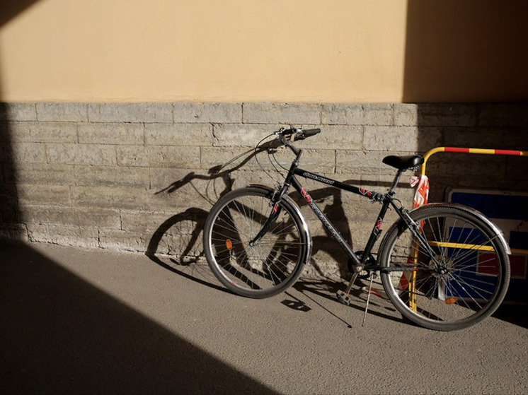 Горожане против велодорожек в Калининграде