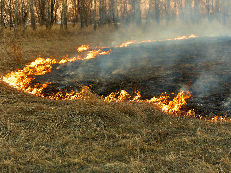 Более десяти пожарных тушили сухую траву в Южно-Сахалинске