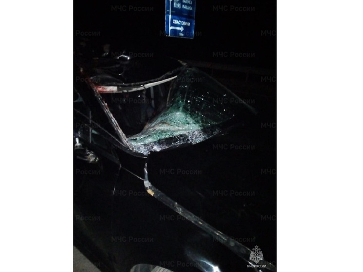 Несколько человек пострадали во влетевшей в лося машине на трассе под Калугой