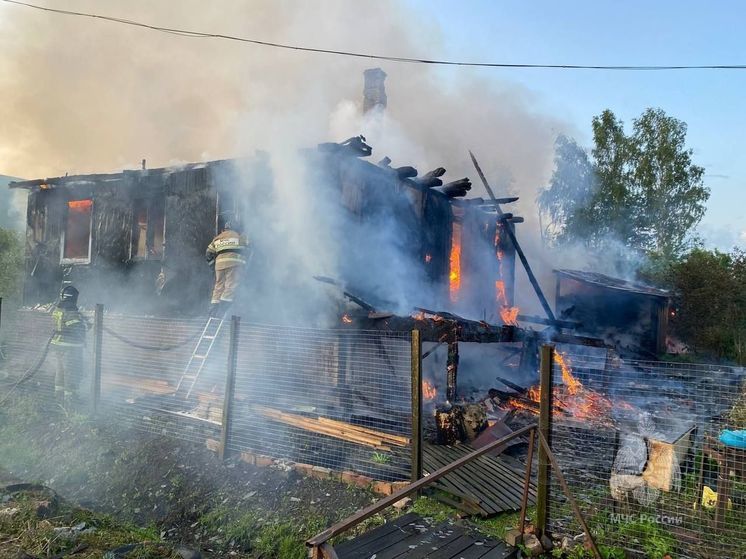 При пожаре в частном доме в Старой Руссе пострадал один человек