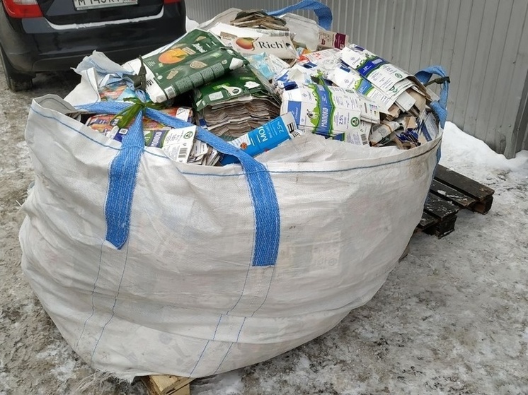 Экоактивисты из Карелии собрали почти полтонны тетрапака для переработки