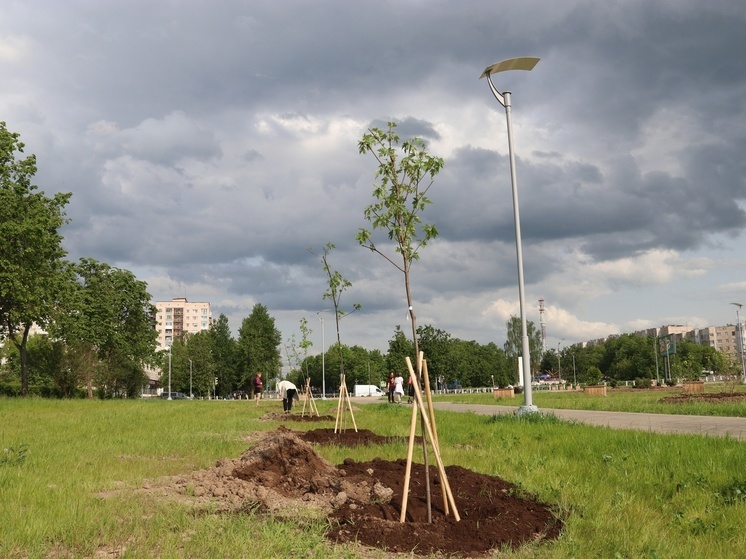 Более 60 деревьев высадили в парке в Киришах в День города