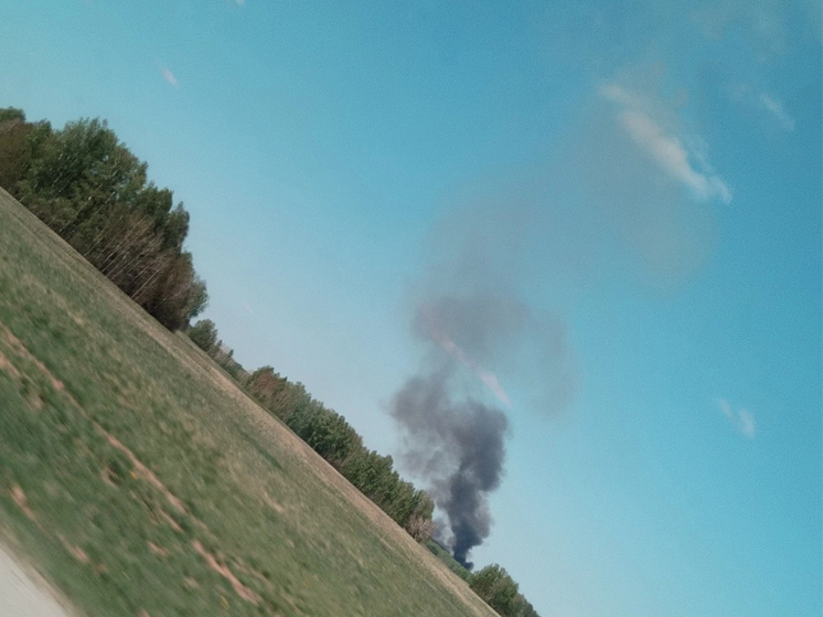 В деревне Губино Томской области начался сильный пожар
