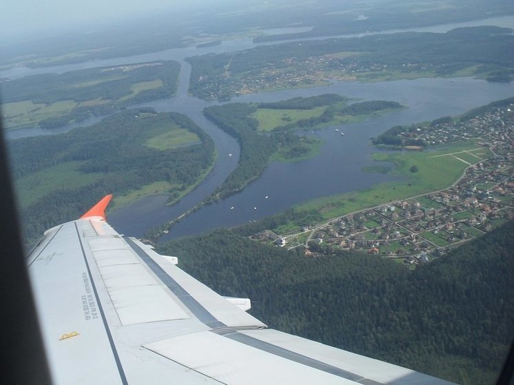 В самолет Москва — Новосибирск врезалась чайка в Домодедово