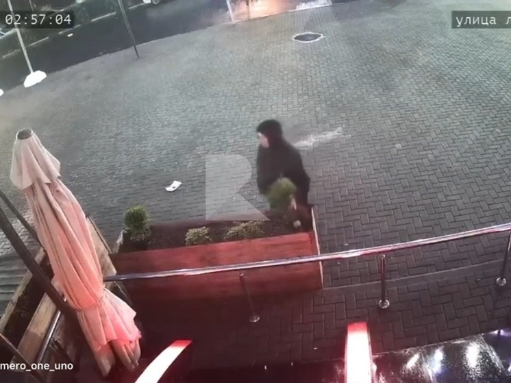 На площади Димитрова в Рязани неизвестная женщина украла растения у ночного клуба