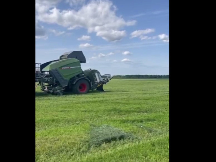 В Ленобласти приступили к заготовке корма для скота