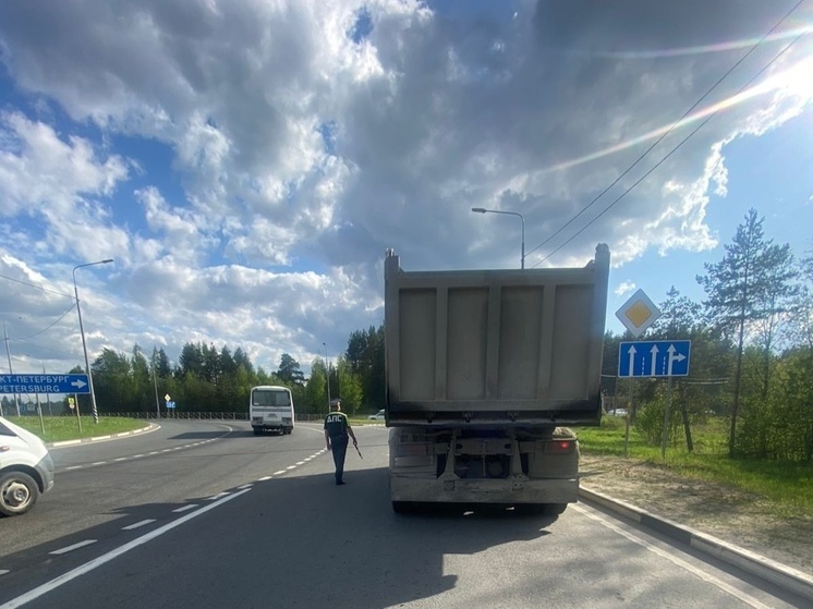  Водитель грузовика в Петрозаводске оштрафован за отсутствие документов