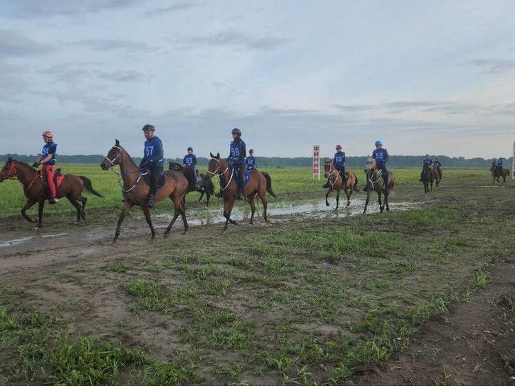 В Кабардино-Балкарии проходит Кубок России по дистанционным конным пробегам