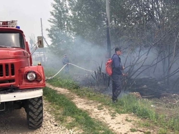 В Завьяловском районе от загоревшегося трактора распространился ландшафтный пожар
