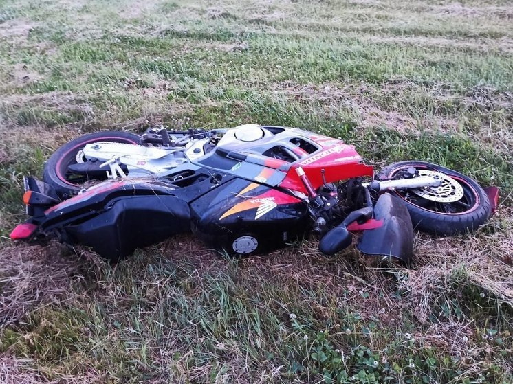 В Воронежской области ночью мотоциклист врезался в КамАЗ и скончался на месте происшествия