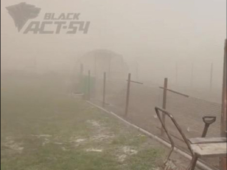 В Новосибирске 27 мая пыльная буря накрыла левый берег