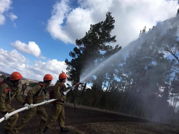 Три лесных пожара потушили за сутки в Приангарье