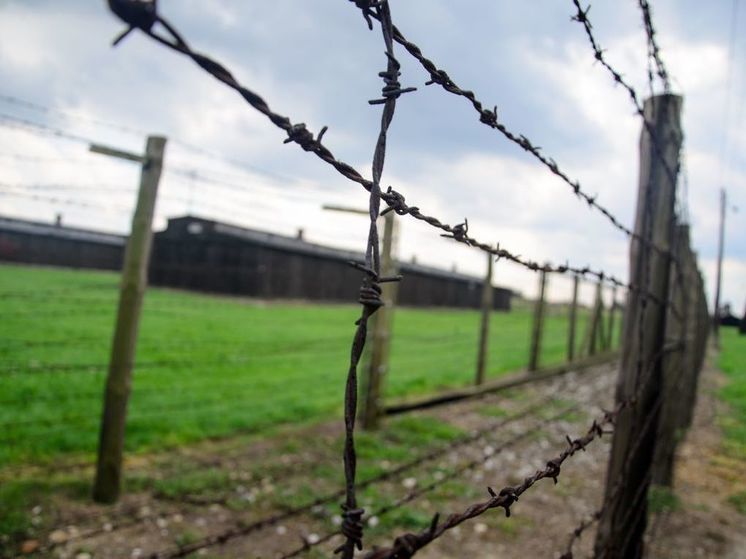 Историк Полак: Германия пытается сделать из поляков виновников Холокоста