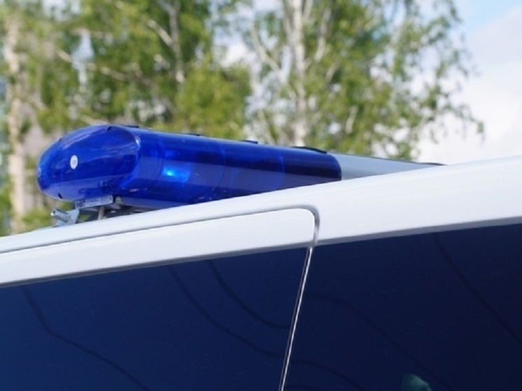 Марки наиболее часто угоняемых машин назвали в полиции Омска