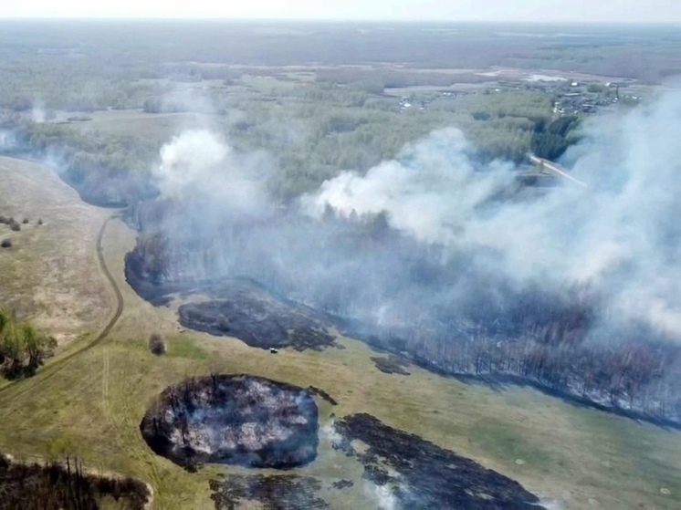 За сутки в Челябинской области потушено пять лесных пожаров