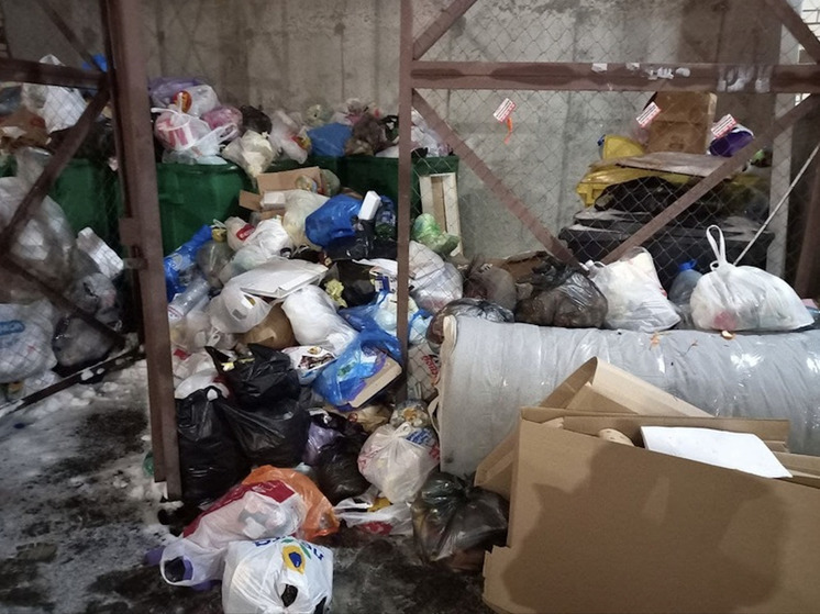Строительство мусоросортировочного комплекса в Калининградской области опять перенесли