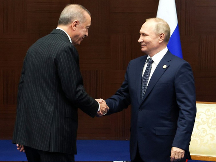 Эрдоган пообещал реализовать проект газового хаба, предложенный Путиным