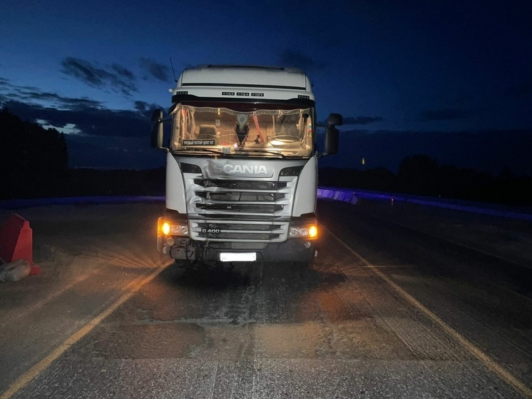 В Новосибирской области грузовик Scania насмерть сбил пешехода