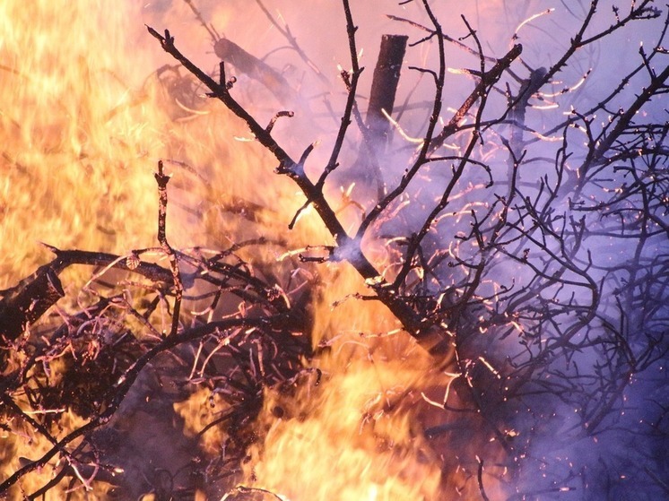 За сутки в Башкирии лесные пожары охватили 38 гектаров