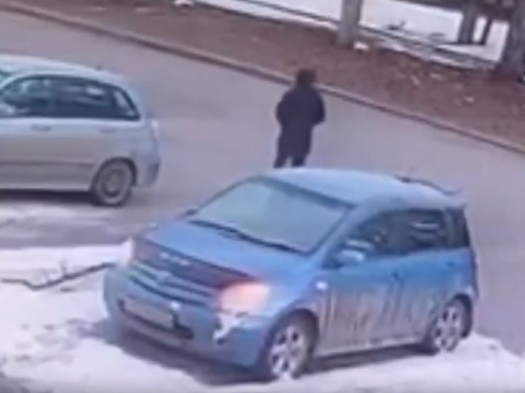В Северске местный житель с деревянной палкой напал на чужую машину