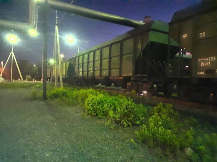 В Омске работник РЖД упал под поезд