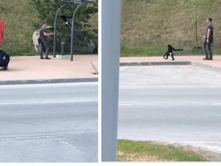 В Новосибирске на видео сняли мужчину с чёрной обезьяной на поводке