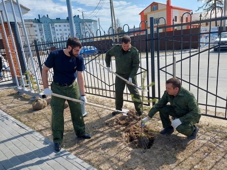 В Надыме следователи и полицейские посадили «Сад памяти»