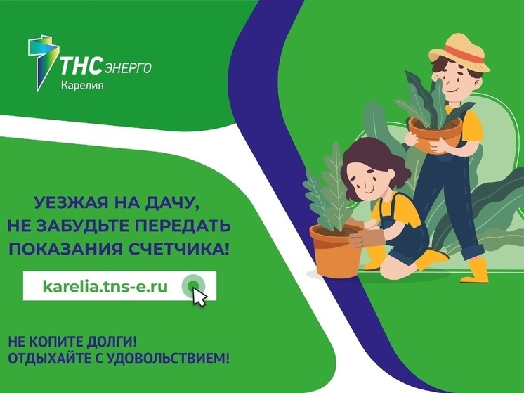 "ТНС энерго Карелия" познакомит дачников с онлайн - сервисами