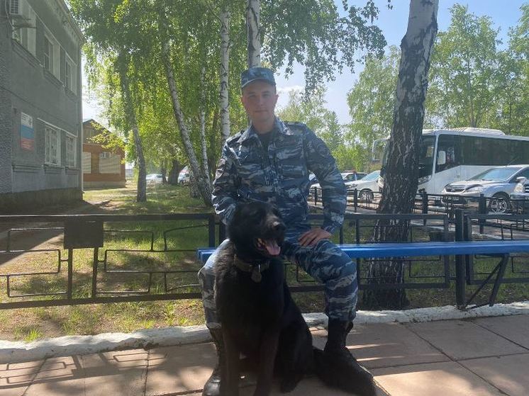 В Алтайском крае служебный пес помог раскрыть кражу двух баранов