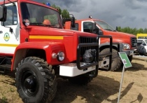 Новая лесопожарная техника появилась в распоряжении лесничеств Ленобласти. Об этом сообщили в пресс-службе правительства Ленобласти.
