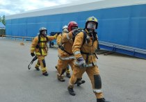 Спасатели 18 раз привлекались к поисково-спасательным работам в Ленобласти за неделю. Об этом сообщили в региональной аварийно-спасательной службе.