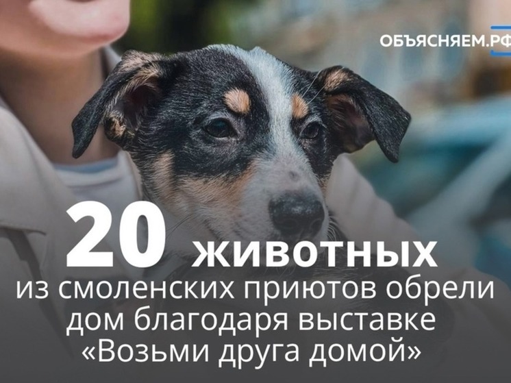 В Смоленске новый дом обрели бездомные животные