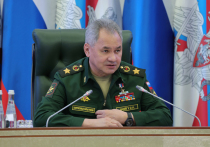 Заседание Общественного совета при Минобороны РФ состоялось 29 мая в Национальном центре управления обороной