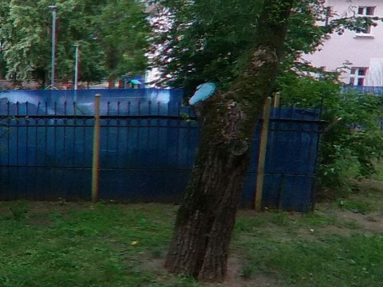 Неуклюжая девушка нанизала себя на пику ограды детского сада