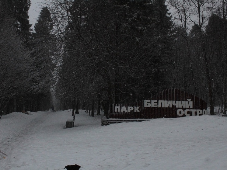 Более 3500 жителей Петрозаводска хотят благоустроить парк Беличий остров