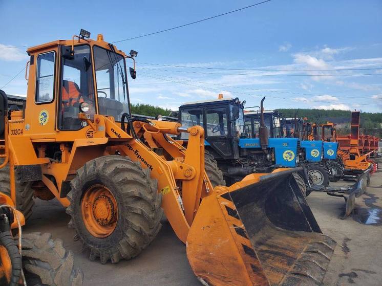 Улицы Североморска и Росляково очистили от мусора