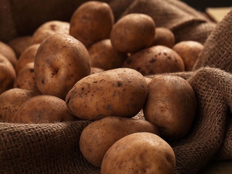 В Оренбуржье 22 тонны картофеля вернулись производителю