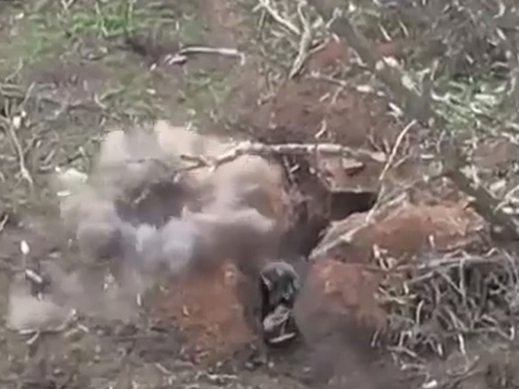 На видео видно, как украинские штурмовики пытаются взять окоп с российскими бойцами, давят их огнем и бомбят с коптера.