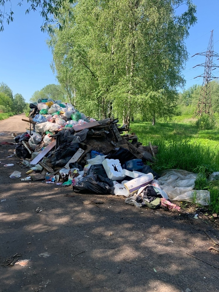 Ярославцы рассказали в соцсетях о мусоре, который «забывают» вывезти уже очень давно