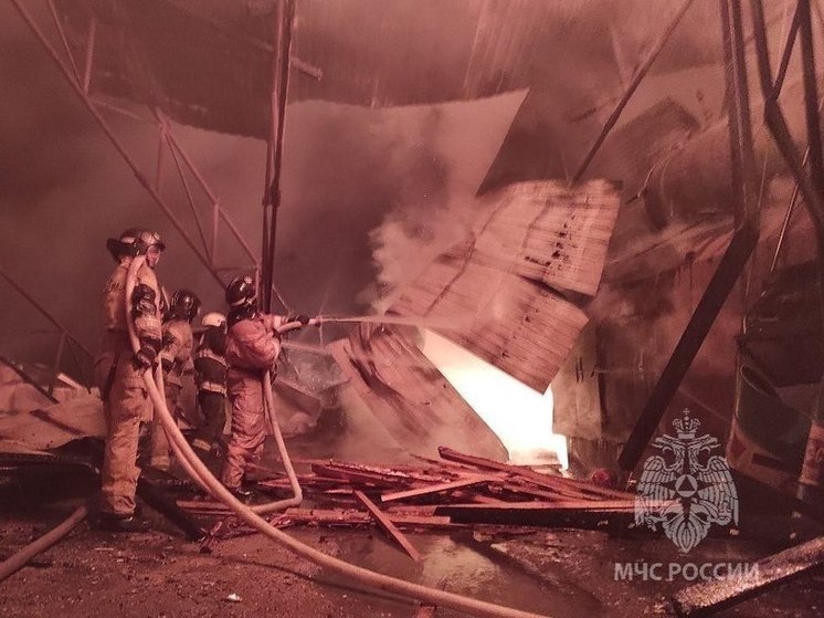В Красноярске за сутки потушили более 50 пожаров