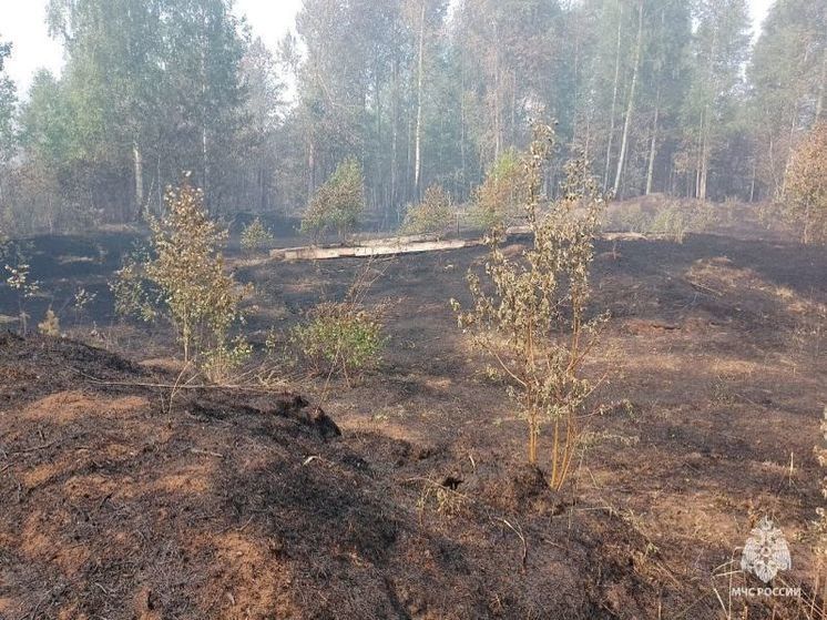 Почти 100 человек в Башкирии тушат природный пожар