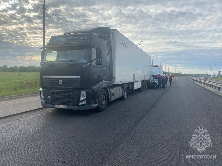 В ДТП в Новгородском районе спасли застрявшего внутри машины водителя