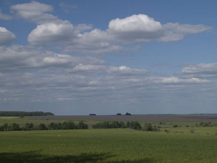 В Минобороны РФ сообщили о сбитых дронах в Московской области