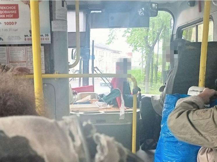 Пассажиры автобуса Петрозаводска были шокированы поездкой с ребенком на торпеде