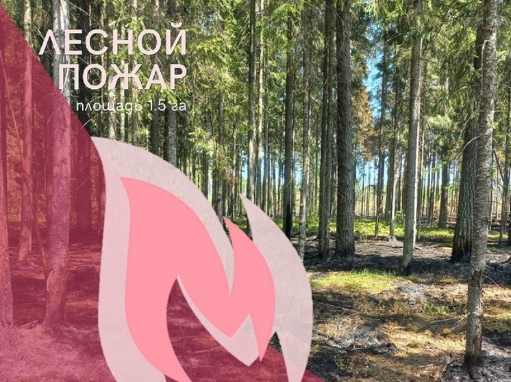 В Калужской области с лесным пожаром бились 4 часа