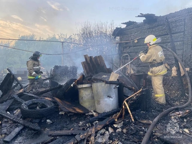 На Южном Урале с начала года в пожарах погибли 95 человек