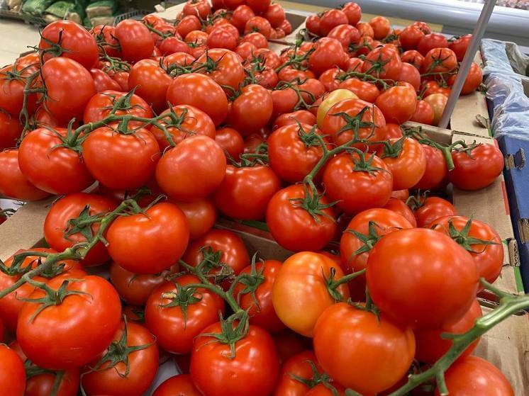 В Алтайский край хотели ввести 18 тонн опасных казахстанских томатов